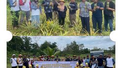 Attachment for Lahan Bekas Tambang Timah Diubah Jadi Perkebunan Nanas, Petani Belitung Puji PT Timah Tbk