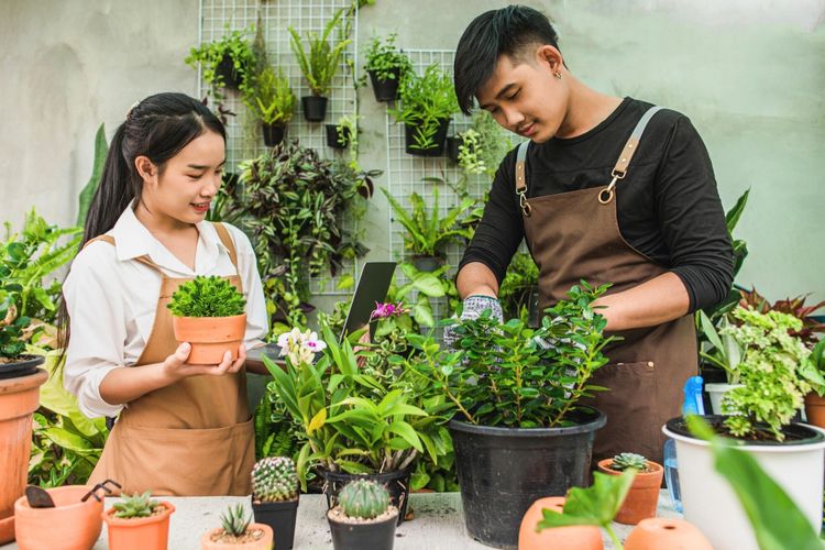 Attachment for 7 Rahasia Berkebun yang Terbukti Membuat Panen Makin Melimpah dengan Cara Alami dan Praktis Di Rumah